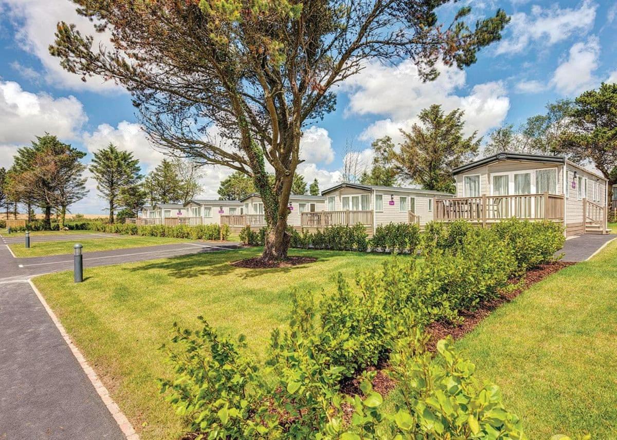 Piran Meadows Resort New Quay Esterno foto